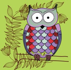 owl N6