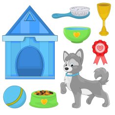 Dog With Different Toys And Accessories