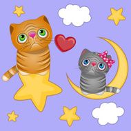 Lovers Cats N4