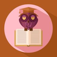 Owl in graduation cap