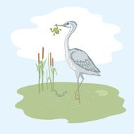 Nature on the bog