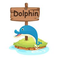 animal alphabet letter D for dolphin