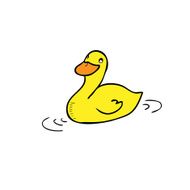Duck N6