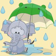 Elephant With Umbrella N3