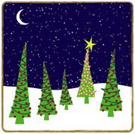 starry nite