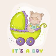 Baby Bear in Carriage