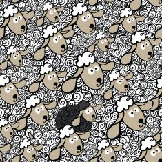 Flock of sheep One black sheep Seamless pattern