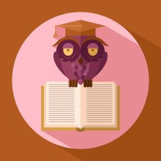 Owl in graduation cap