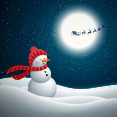Vector Christmas Design with Snowman N4