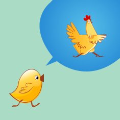 Chicken thinking that it would be a chicken