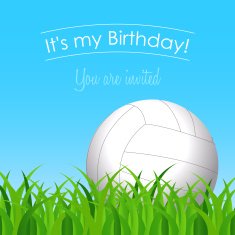 volley ball on grass in a sunny day