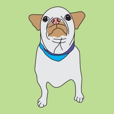 Puppy vector format