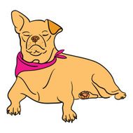 Puppy vector format N2