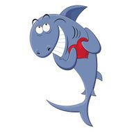 Shark on white background