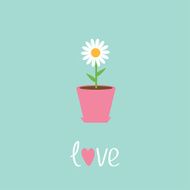 Daisy in pot Love card