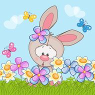 Rabbit N10