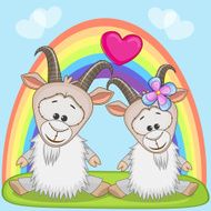 Lovers goats N3