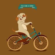 Traveling by bike N4
