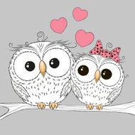 Two Owls