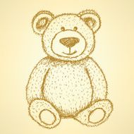 Sketch Teddy bear vector vintage background