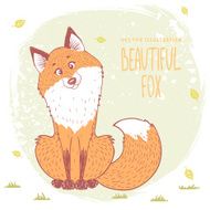 fox color