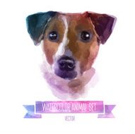 Vector set of watercolor illustrations Cute jack russell