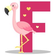 Alphabet F for Flamingo