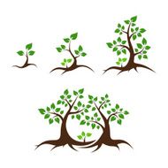 Family tree vector illustration