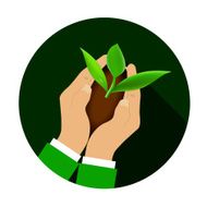 Hands holding young plant
