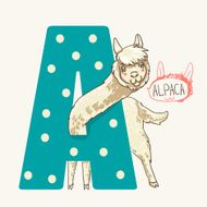 letter A alpaca