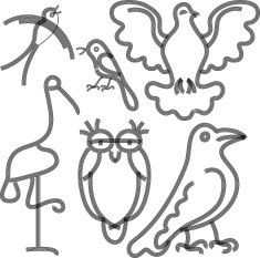 Birds N3