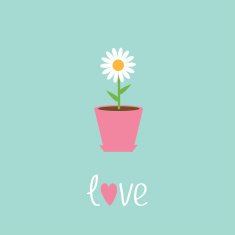Daisy in pot Love card