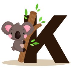 Alphabet K for Koala