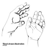 Human hands sketch illustration
