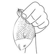 Fish N7