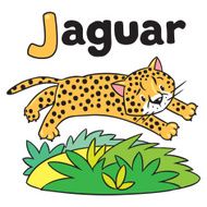 Little cheetah or jaguar for ABC Alphabet J