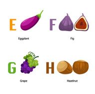 Alphabet E-H letter eggplant fig grape hazelnut vector