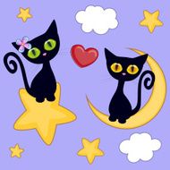 Lovers Black kittens N2
