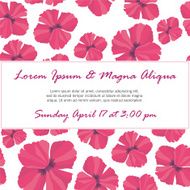 Invitation with delicate poppy buds and flowers vector