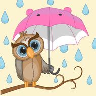 Owl with umbrella