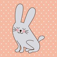 Rabbit Design N5