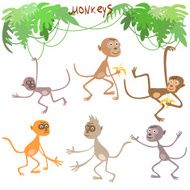 Monkeys vector set