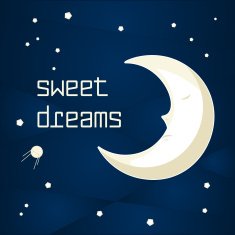Cartoon Sleeping Moon N6