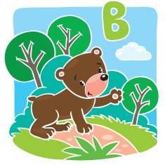 Funny little teddy bear Alphabet B
