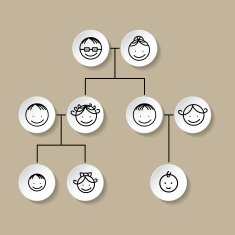 Family tree illustration N2