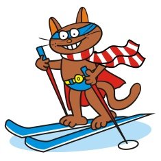 Tomcat and ski superman