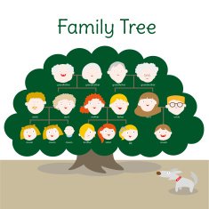 Family Tree N29