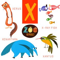 Cute zoo alphabet in vector X letter Funny cartoon animals