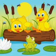 ducklings looking at frog
