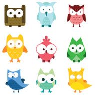 Cute Owl Bird wildlife Lovely animal